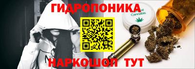 Альфа ПВП Можга