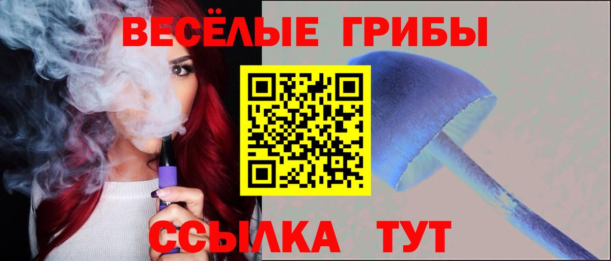Галлюциногенные грибы Psilocybine cubensis Шелехов
